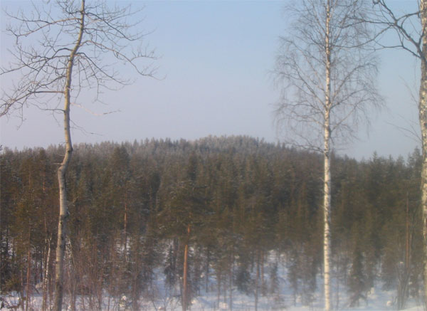 Vasemmalta vai oikealta...?