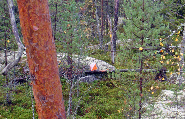 Kuvaaja l�ysi rastin, miss� suunnistajat?