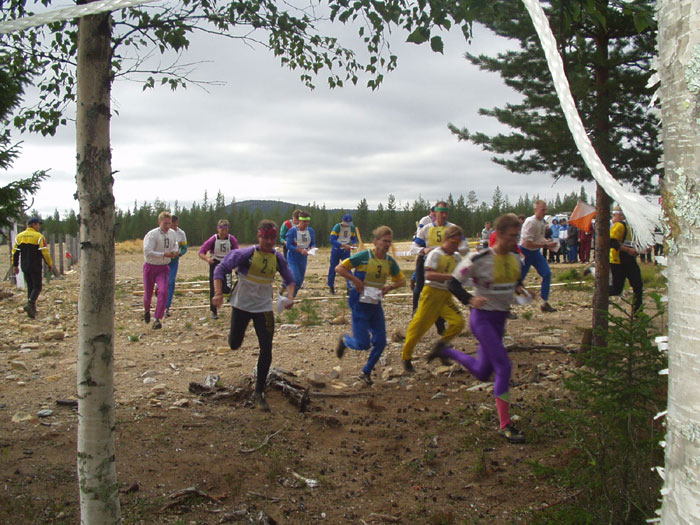 Maakuntaviesti k�ynniss�